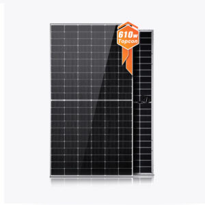 Panel solar bifacial TOPCon tipo N de 610 W